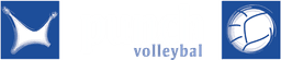 D.S.V.V. PUNCH
